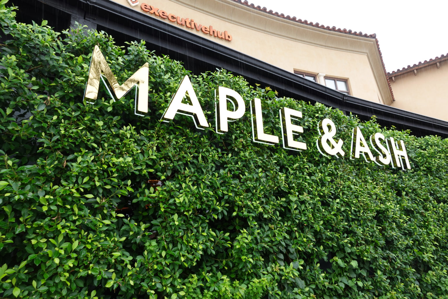 maple and ash steakhouse scottsdale
