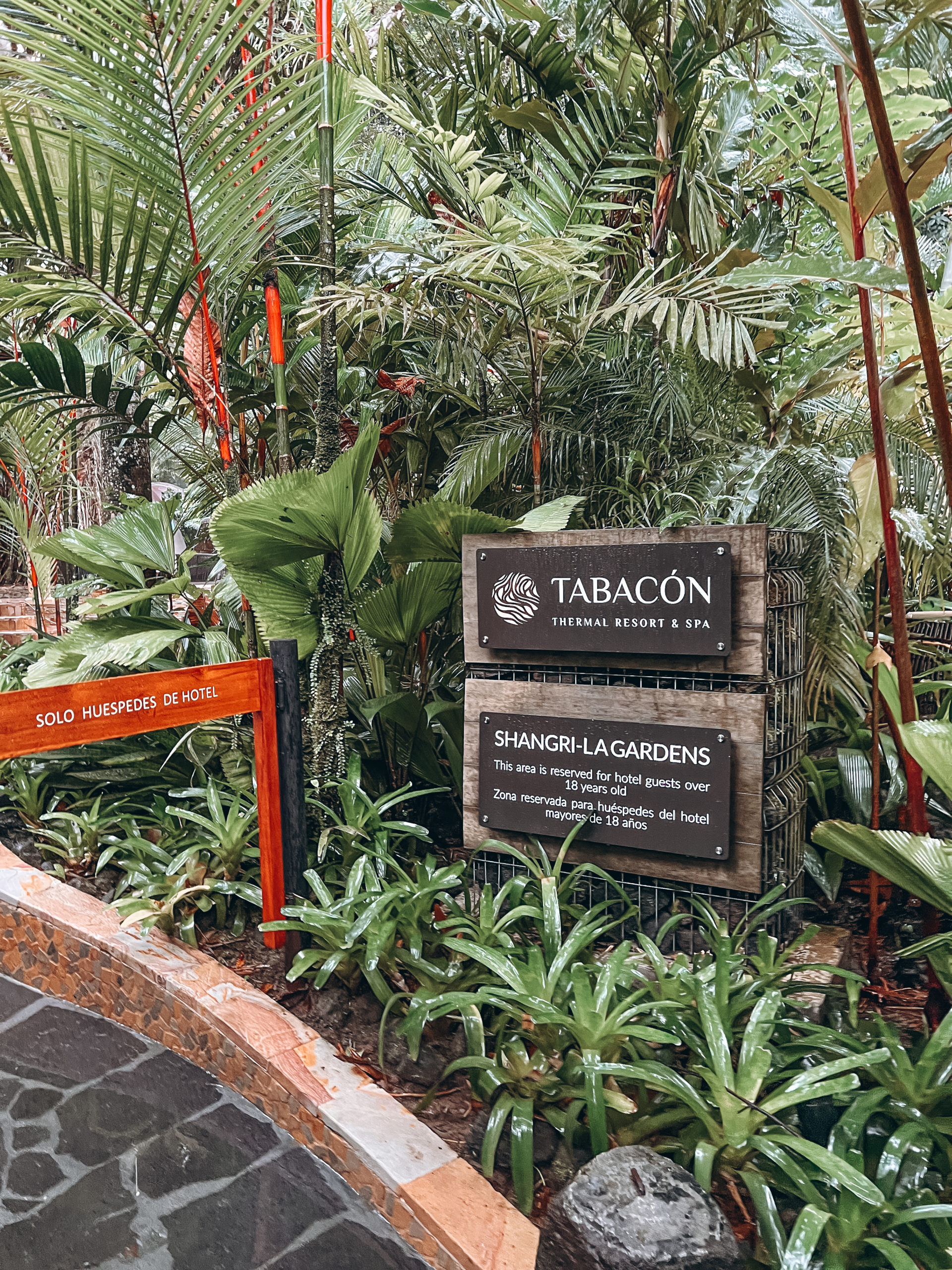 tabacon hot springs