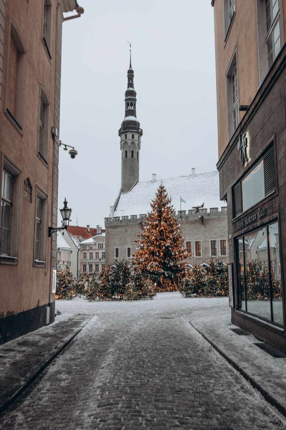 one day in tallinn