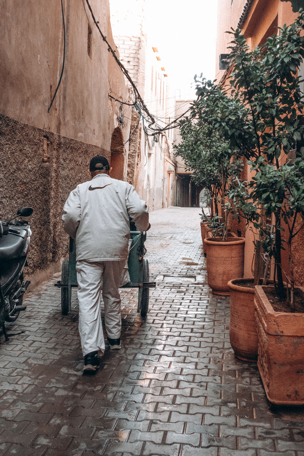 luggage carrier in marrakech, morocco