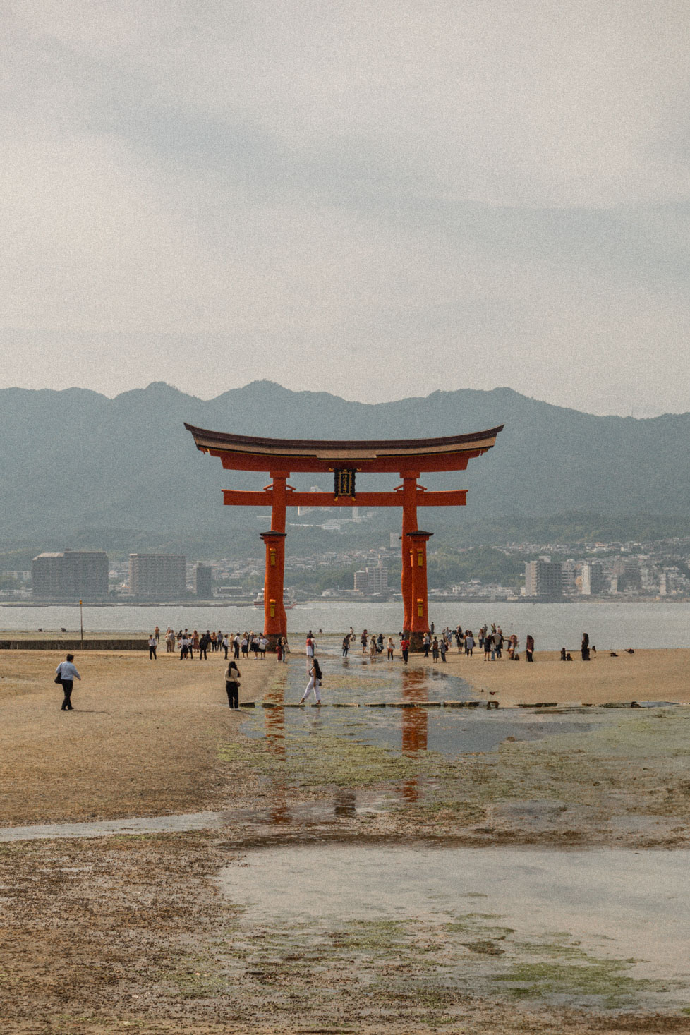 Floating Torii Gate in Miyajima