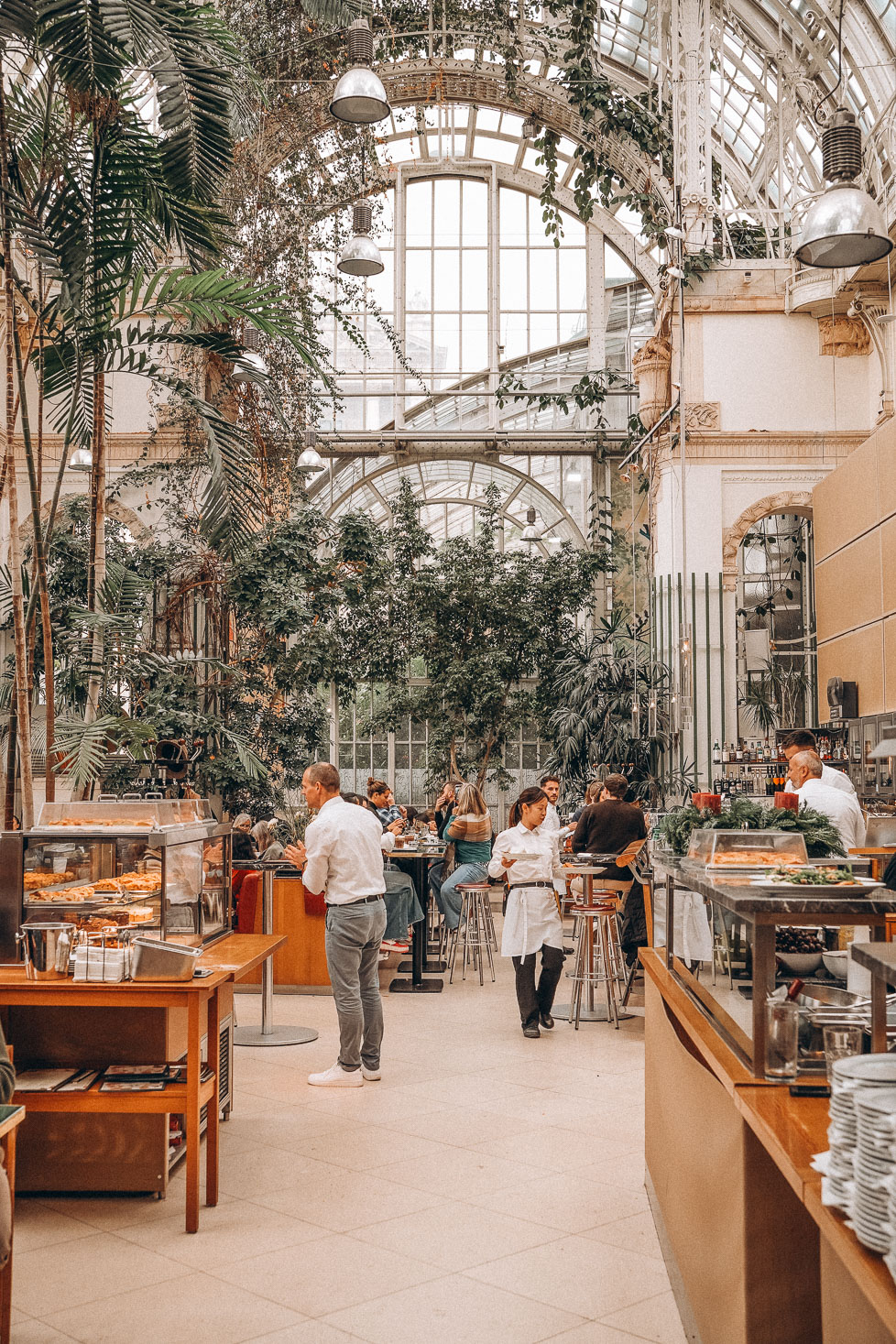 Brasserie Palmenhaus