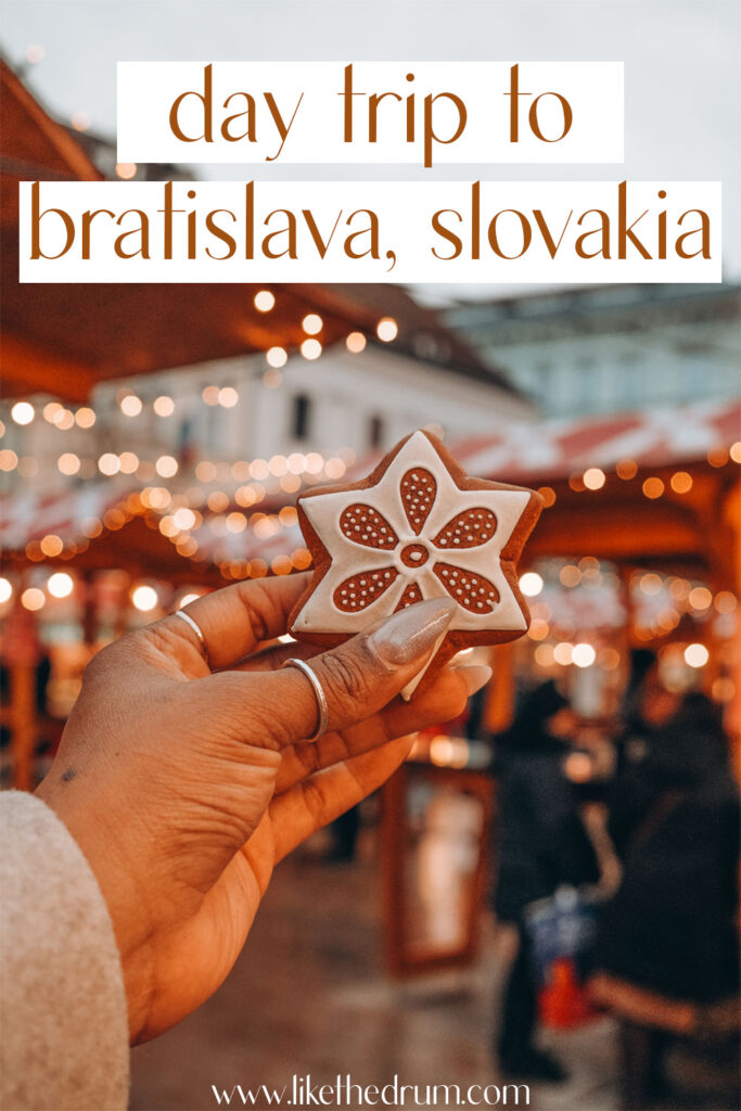 one day in bratislava pin